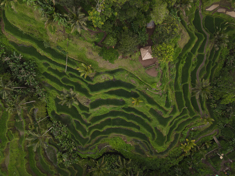 What to Do in Bali on a Budget | Your 2025 Guide