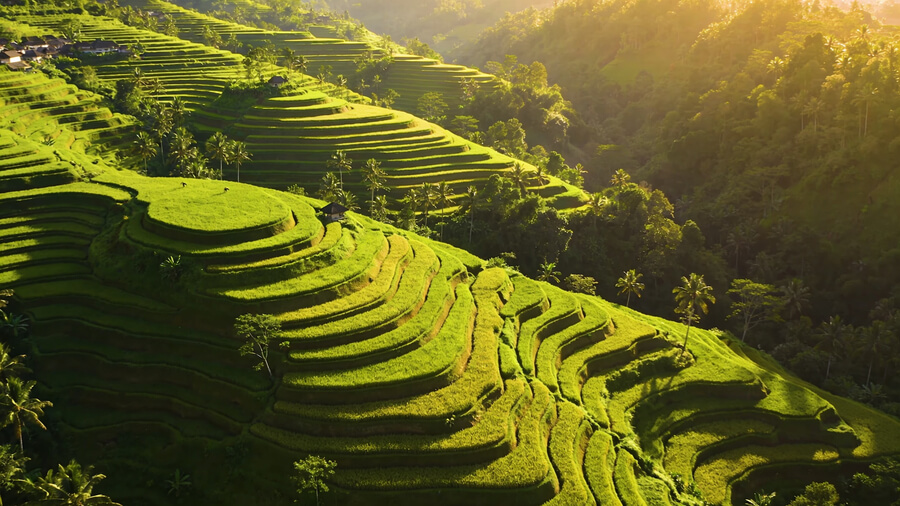 Do I need a SIM card for Bali?