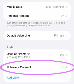 How to install an eSIM on an iPhone